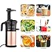 Juicer Amzdeal Slow Juicer Masticating Juicer Machine Cold Press Juicer For High Nutritional Fruits and Vegetables Juice, Easy to Clean, Quiet Motor & Reverse Function, BPA Free, 200w