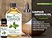 BioFinest Camphor Oil - 100% Pure Camphor Essential Oil - Premium Quality - Therapeutic Grade - Best For Aromatherapy - FREE E-Book (10ml)