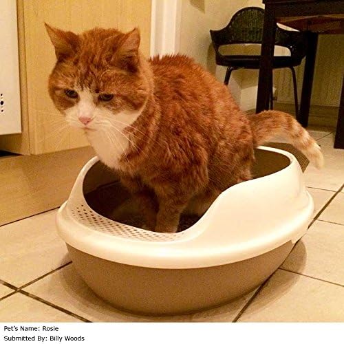 Purrshire Antibacterial Sifting High Sided Cat Litter Tray 50x38cm. Ideal For Cats Who Do Not Like Covered Litter Boxes