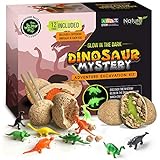 Nature Gear Glow in The Dark - 12 Mystery Excavation Adventure Dinosaur Eggs Kit - Science STEM Learning Kids Activity