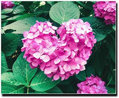 Amazon アート キャンバス パネル ファブリック ウォール 長方形 正方形 額縁 壁紙 インテリア ブランド ガーリー 女子 化粧 コスメ 花 花束 花柄 結婚式 ウェディング キュート フェミニン カジュアル キレイ かわいい ハイビスカス ツリー モダン ポスター フレーム