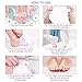 2 Pairs Exfoliating Foot Peel Mask-Peeling Away Rough Dead Skin & Calluses in 1-2 Weeks Repair Rough Heels Lavender for Men Women & Get Soft Smooth Baby Foot