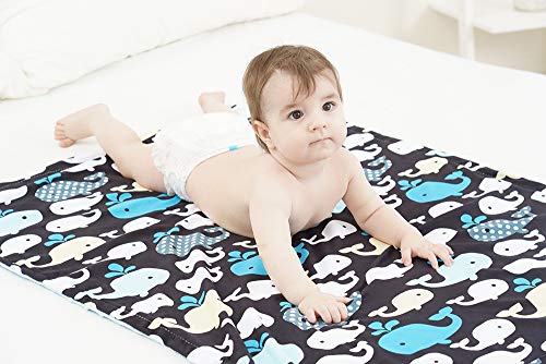 2 Soft+Minky+Baby+Blanket+Receiving
