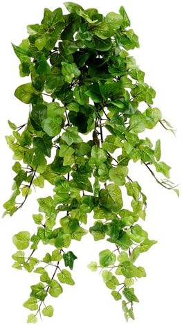Amazon 32 カンガルーアイビーhanging Bush X12グリーン Pack Of 6 造花 オンライン通販