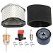 Panari GY20661 Air Filter with Oil Filter Maintence Kit for John Deere LT160 LX266 L110 7G18 17.542HS L17.542 Lawn Mower Tractor M131303 M145944
