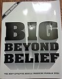 Big Beyond Belief by 