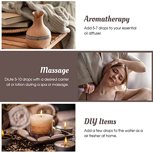 Essential Oils Set, Winter Scents Fragrance Oil Essential Oils for Diffuser Aromatherapy Oils - Gingerbread, Sugar Cookies, Harvest Spice, WinterFae, Christmas Tree, Christmas Wreath, 6x10ml