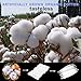 Prime Organic Cotton Organic Shoelace Style Cotton for DIY Project- (1 bag) 10 Pcs Preloaded Shoelace Style Cotton - Portable gift wrap bacon cotton