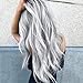 Women Long Curly Wig Gradient Gray Black Roots Ship from US Mixed Colors Wavy Synthetic Wig Heat Resistant Full Wig for Costume Party Masquerade Cosplay (Gray)