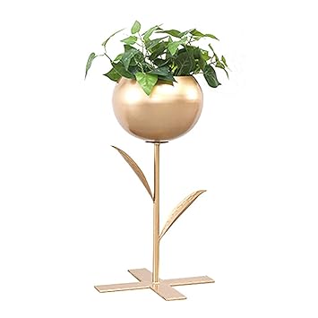 Amazon Com Cdbl Shelf Storage Rack Wrought Iron Creative