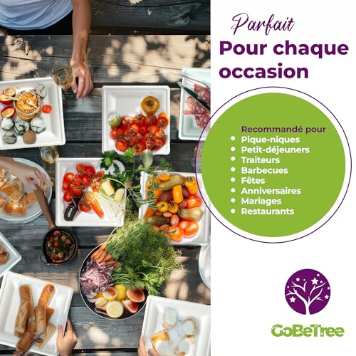 GoBeTree 100 x 26cm White Sugarcane Square Disposable Paper Plates Extra Durable Disposable Paper Plates for Camping, Picnics, Parties, BBQs, Birthdays