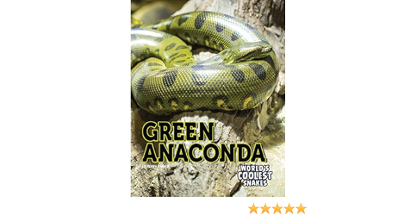 Green Anaconda World S Coolest Snakes Canasi Brittany Amazon Com Books