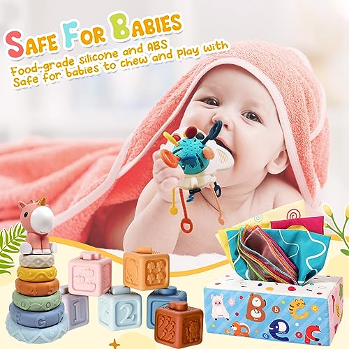 FEBALHS Montessori Baby Toys for 6+ Month Old, Montessori Toys