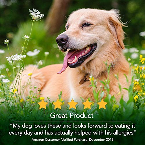 Vet's Best Seasonal Allergy Soft Chews (2 Pack)