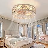 Retro Caged Ceiling Fan with Light, 20" Flush Mount