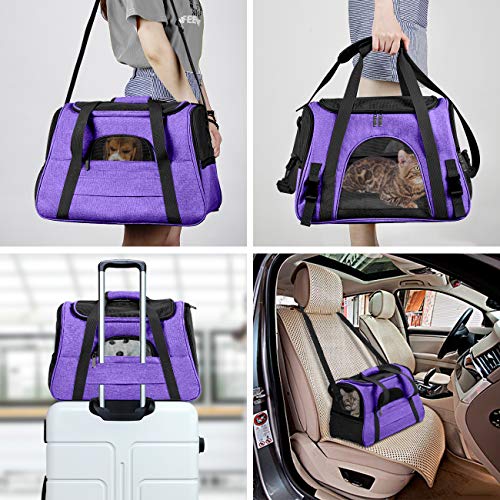 Prodigen Pet Carrier Airline Approved Pet Carrier Dog Carriers for