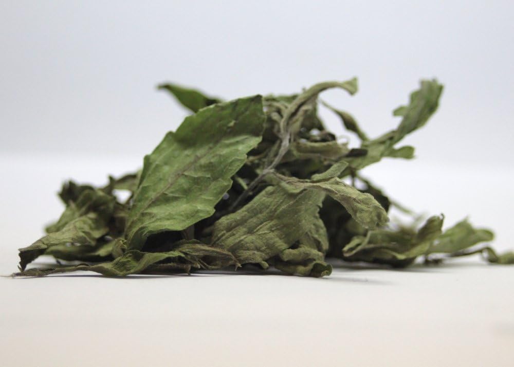 SAFLAX - Hierba dulce - 100 semillas - Stevia rebaudiana: Amazon ...