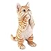 Collections Etc Realistic Pet Praying Figurine, Hand-Painted Statue Indoor or Outdoor Decoration, Tabby Cat