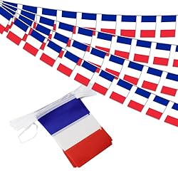 France String Flag Pennant Banner - 38 Flags, 42