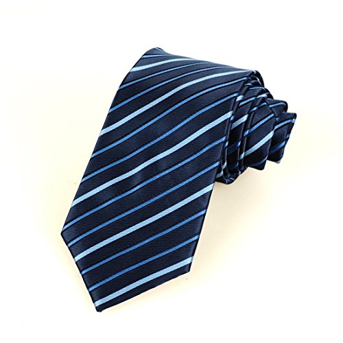 ROYAL WIND New Striped Microfiber Men's Tie Necktie Wedding Party Holiday Groom Gift (Black Blue)