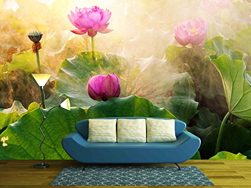 Beautiful Lotus Flower in Blooming at Sunset