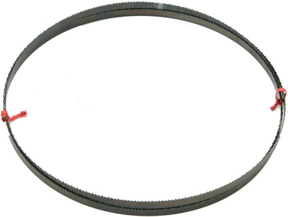 DeWalt DT8481-QZ Bandsaw Blade -12mm General Purpose, silver