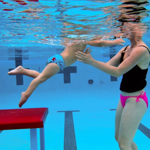 Swim Diaper  - Solid Royal L