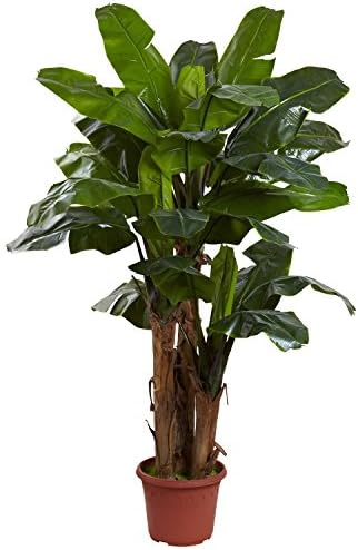 NNatural 7' Giant Triple Stalk Banana Tree UV Resistant (Indoor/Outdoor)