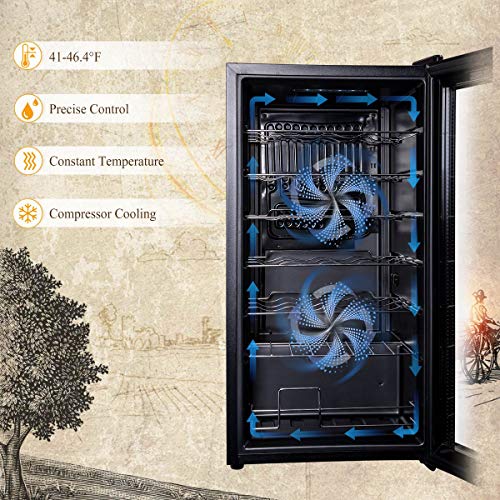 2 Sentern+Bottle+Wine+Cooler+Bottles+Black