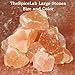 Original Himalayan Sole Natural Salt Rocks (1 kilo box: 2.2lbs)