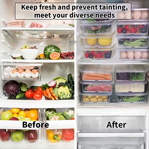 77L Food Storage Container, (3-Pack) Plastic Food Containers with Removable Drain Plate and Lid, Stackable Portable Freezer Storage Containers - Tray to Keep Fruits, Vegetables, Meat and More