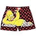 The Simpsons Homer 