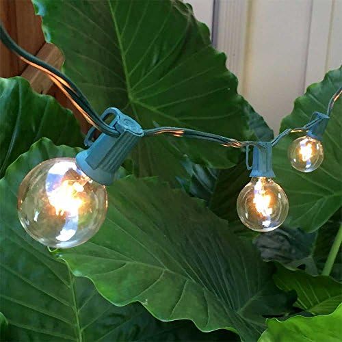 Globe String Lights - Clear G40 Bulbs (10) - Green Cord