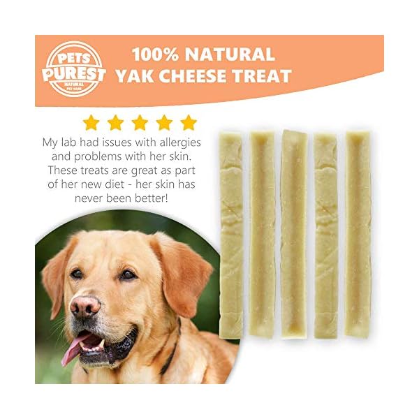 Pets-Purest-Himalayan-Yak-Chew-For-Dogs-5-pack-100-Natural-Yak-Milk-Dental-Chew-For-Puppies-Dogs-Senior-Delicious-Long-Lasting-Cheese-Treat-Cleans-Teeth-Source-of-Protein-Calcium Pets Purest Himalayan Yak Chews with Milk for Dog, Puppy & Senior - 100% Natural Cheese Bone Food Treats - Long Lasting…