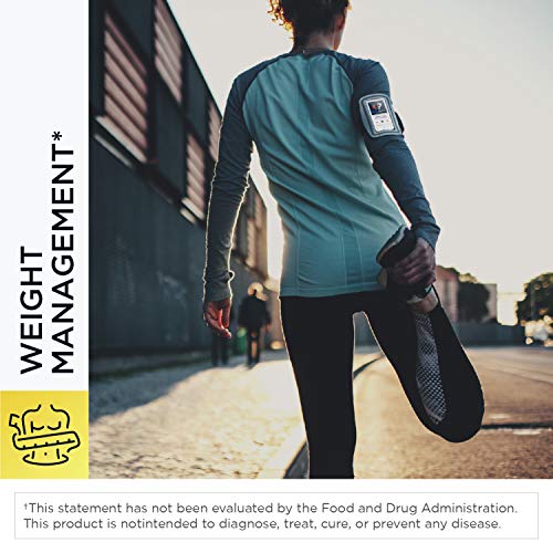 Designs for Health BCAA Powder with LGlutamine Branched Chain Amino