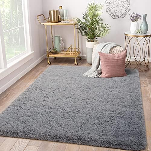 Terrug Super Soft Area Rugs for Bedroom, Shaggy Carpet for Bedroom Girls, Fluffy Plush Rug for