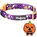 Blueberry Pet Halloween Darkness Deserted Castle Designer Adjustable Dog Collar with Decoration, Large, Neck 18