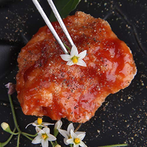 4 Rivoean+Tweezers+Culinary+Stainless+Precision