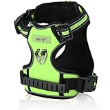 Dog Harness, Itery Adjustbale Non Pull Pet Harness Soft Vest Padded Dog Body Harness with Handle & Reflective Stitching (M, Green)