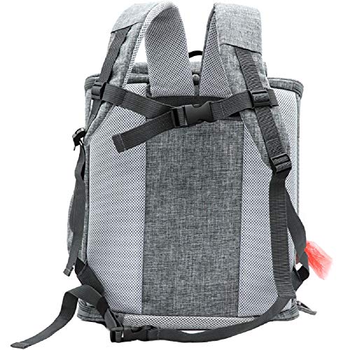 Tragetasche-fr-Haustiere-Max-Faltbare-Transportbox-Katze-Hundewelpen-Reise-Wandern-Camping-ffnung-For-Soft-seitig-Bgel-Trger-Faltbare-Im-Freien-Spielraum-Doppelschultertasche-Netz-PRAKTISCH-TRAGBA