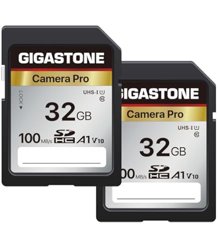 Scheda Di Memoria Kingston MicroSD 2GB – Single Pack, Senza Adattatore, Garanzia A Vita
