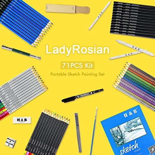 LadyRosian 71PCS Drawing Pencils Set, Portable Professional Sketch Kit, Graphite Charcoal Pencils Erasers Sketch Book Set Art Supplies for Kids, Adults and Artists