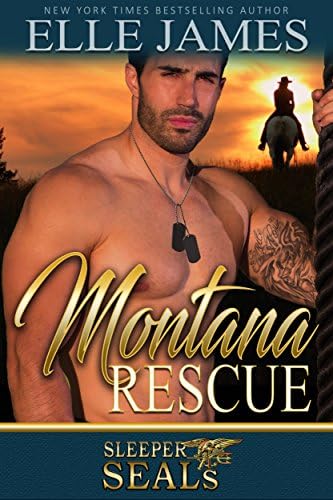 Montana Rescue (Sleeper SEALs Book 6)