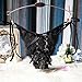 3 Pack of Women's Sexy Sheer Lace Open Crotch Lingerie Panties, White/Black/Red