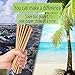KKMO 250 Pack Dye-Free Biodegradable Premium Paper Straws, Made from Kraft