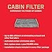 Champion CCF1848 Activated Carbon Replacement Cabin Air Filter
