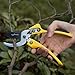 2017 Upgraded Design Fisktool 8 inch Professional SK-5 Steel Blade Sharp Anvil Pruning Shears (FT-01-001),Less effort