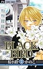 BLACK BIRD 第13巻