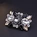 Douqu Fashion Rhinestones Crystal Shoe Clips Wedding Party Shoe Buckle Accessories Shoes Decoration for Women-2Pcs (Black)