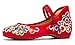 AvaCostume Women's Chinese Embroidery Casual Mary Jane Travel Walking Shoes Red 38